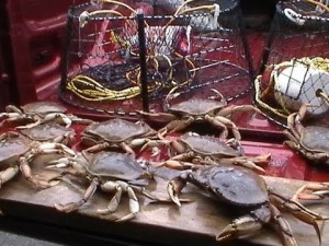 Arbutus RV Fresh BC Crab