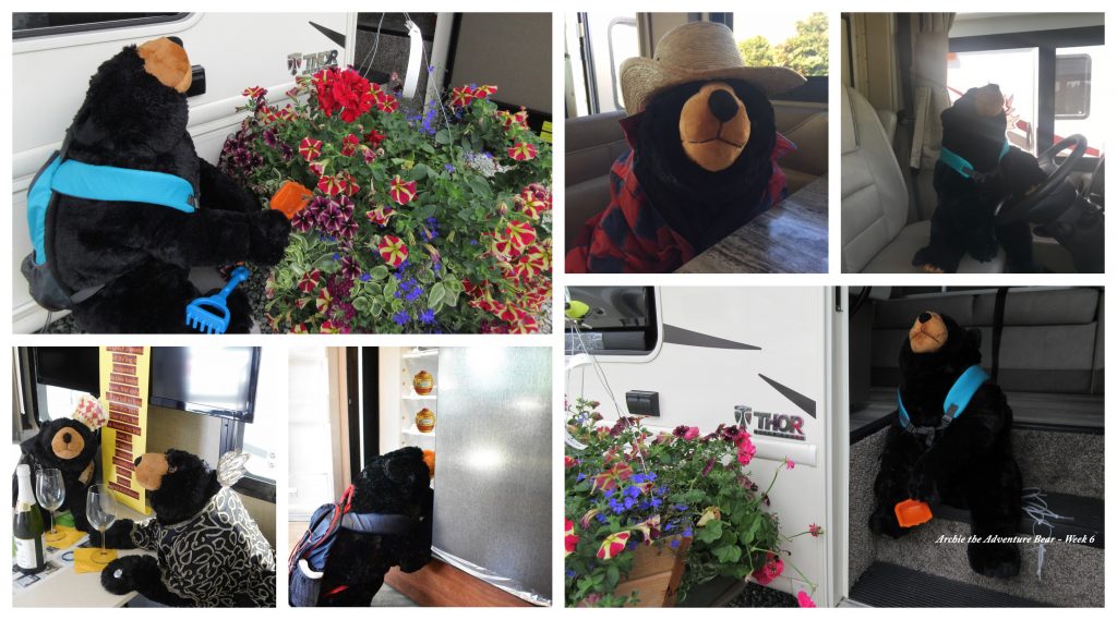 We're Looking For Archie! Island RV Guide