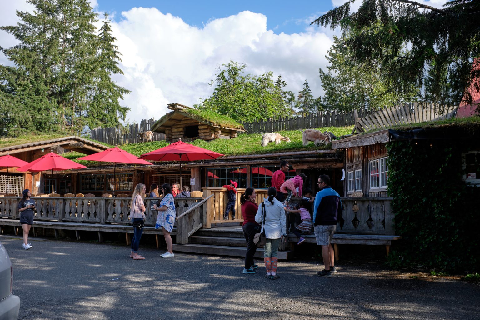When in Coombs Island RV Guide When in Coombs Island RV Guide