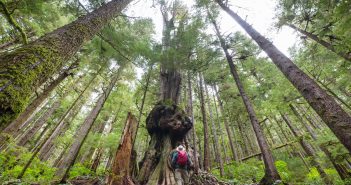 5 Outdoor Adventures On Vancouver Island